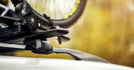 Market Buzz Thule och Brinova