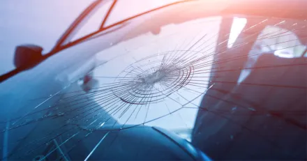 Bevaka dessa nivaer i Meko