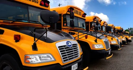 Blue Bird En skolbuss man inte vill missa