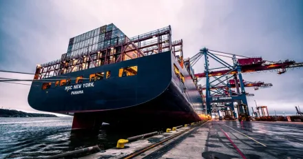 Nekkar En handelserik sommar