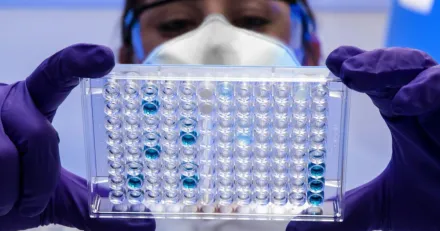 Stockpickerfavorit bland dagens vinnare