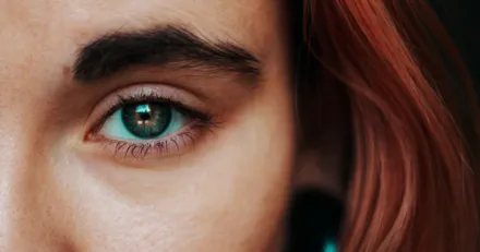 Viktiga nivaer i Smart Eye