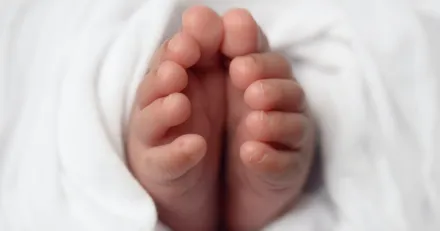 Small Cap Tungt kursfall i IBT efter studiemiss