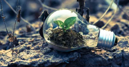 Strsta hemligheten bakom framgng p aktiemarknaden