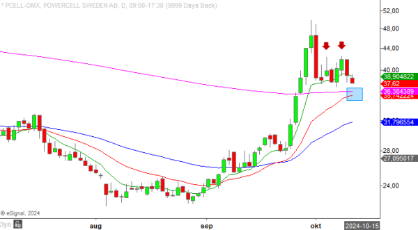 20241011 pcell