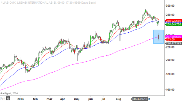 20241025 liab
