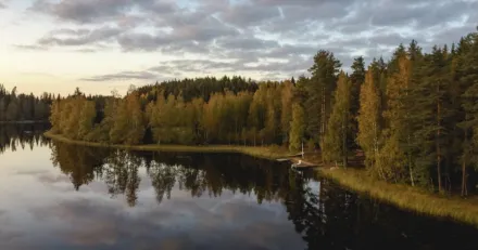 Market Buzz Karnell och Karnov