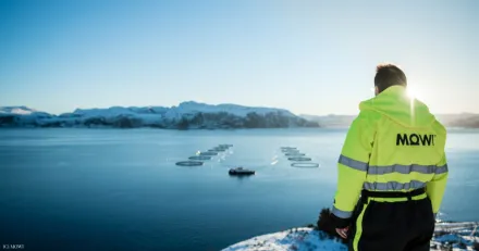 Market Buzz Mowi och SLP