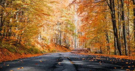 Positiv avslutning pa borsveckan