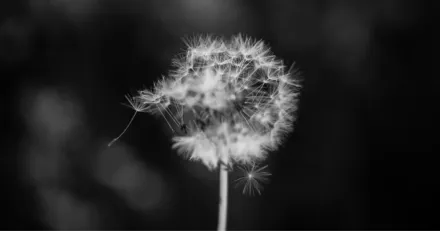 Powercell redo att vanta langa trenden