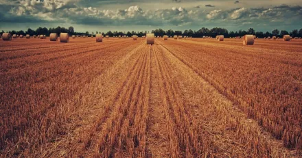 Tung rapportskord pa Stockholmsborsen