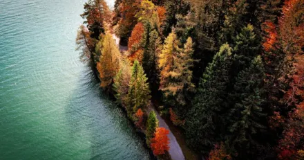 Karnell fr smbolagsentusiasten High Quality