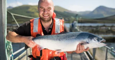 MOWI Lossnar laxen 2025