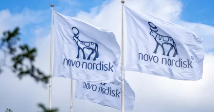 Market Buzz Novo Nordisk och Skanska