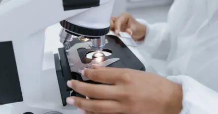 Small Cap Rapportrally i Genovis