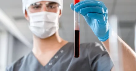 VD i Boule kper sina frsta aktier Aktien rusade