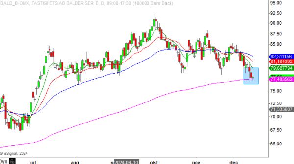 20241217 baldb