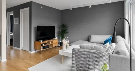 Balder testar grundtrenden High Quality