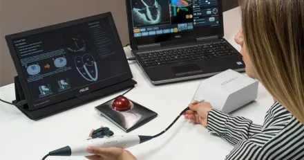 Mentice redo fr omstart High Quality