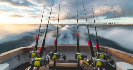 Sder Sportfiske n nappar vi inte High Quality