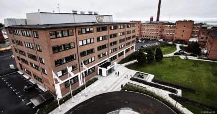 Spnnande lge i Trelleborg High Quality