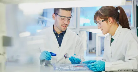 Fnga Bonesupport p rekylen High Quality