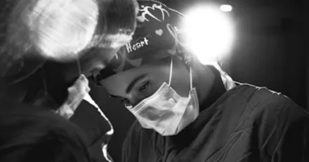 Kplge i Xvivo Perfusion p rekylen High Quality