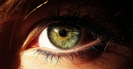 Small Cap Kraftig upprekyl i Smart Eye High Quality