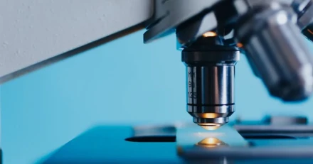 Untitled design High Quality