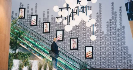 Vertiseit Vxer genom strategiskt frvrv High Quality