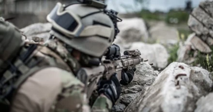 Brsuppgng med frsvarsaktier som vinnare High Quality