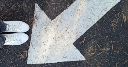 Fortsatt utfr p brsen High Quality