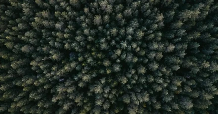 Small Cap Stororder till Vimab High Quality