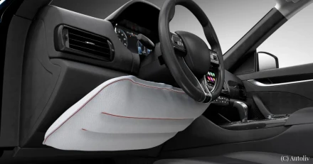 Autoliv Hller fast vid sin prognos High Quality