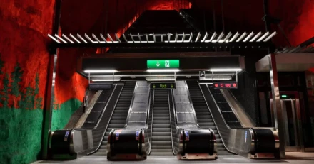 Blodrtt p Stockholmsbrsen High Quality