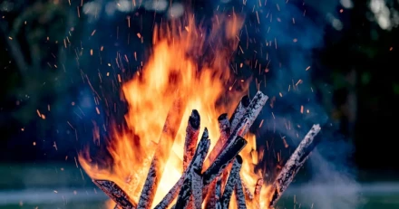 Firefly Brjar lukta kplge High Quality