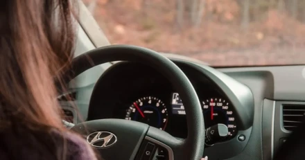 Meko Trygg hamn High Quality