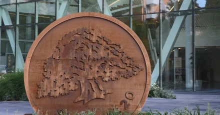 Affrslge i Swedbank inom kort High Quality