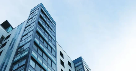 Catella rusade efter storaffr High Quality