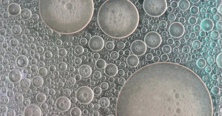 Cellavision ntligen kplge High Quality