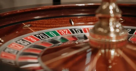 Evolution Svagt ver hela linjen High Quality