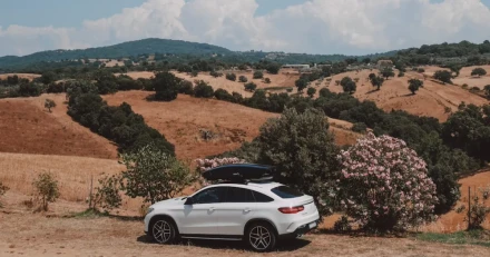 Market Buzz Thule och Hufvudstaden High Quality