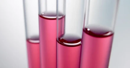 Market Buzz Addvise och Nivika High Quality