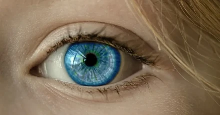 Smart Eye Upp till bevis