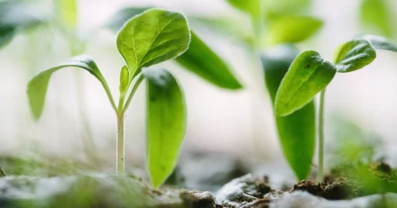 francesco gallarotti ruQHpukrN7c unsplash