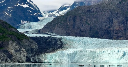 icebergs 8430043 1920