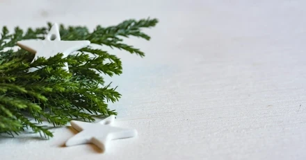 joanna kosinska vCPnxqNcsKw unsplash