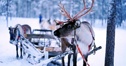 norman tsui KBKHXjhVQVM unsplash