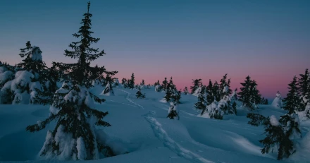 theo eilertsen photography ajhmqq12XvI unsplash