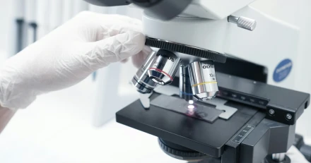 indra projects L1ip8dEWuzE unsplash